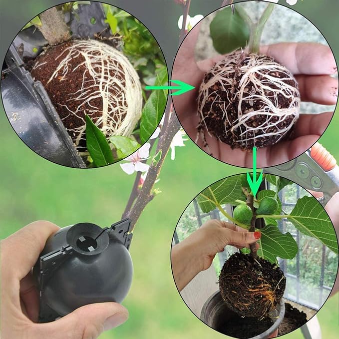 nutroeno 15 pcs Plant Root Growing Box Cloning Ball - Air Layering Reusable Plant Rooting Device, High Pressure Grafting Propagation Ball, Assisted Cutting Rooting for Plants Asexual Reproduction(L)