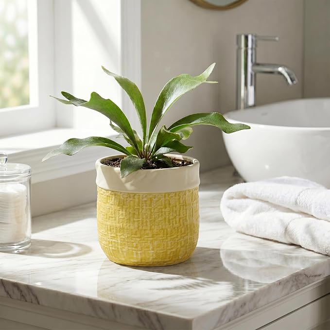 Ceramic Planter - 6 Inch Plant Pot with Drainage Hole and Plug, Round Unique Flower Pots for Indoor Plants, Boho Decorative Pot for Plants, Bookshelf Decor, Gifts for Plant Lovers, Yellow