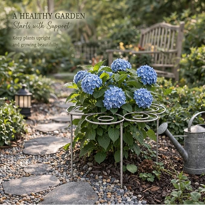 Metal Plant Support Ring for Garden, Peony Cage Stand, Indoor Pots, Flower Hoop, Decorative Grow Through Rings, Stackable Houseplant Stake, Dahlia Cage, Outdoor Orchid Clip(1PC,Medium)
