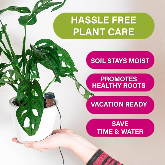 Blumat Classic Self-Watering Stakes - Prevents Overwatering and Underwatering for Healthy Growth While You are Away - Ideal for Indoor Plant Watering (12 Pack w/o Adapter)