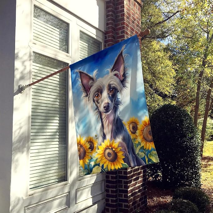 Caroline's Treasures DAC6053CHF Chinese Crested in Sunflowers House Flag Large Porch Sleeve Pole Decorative Outside Yard Banner Artwork Wall Hanging, Polyester, House Size, Multicolor