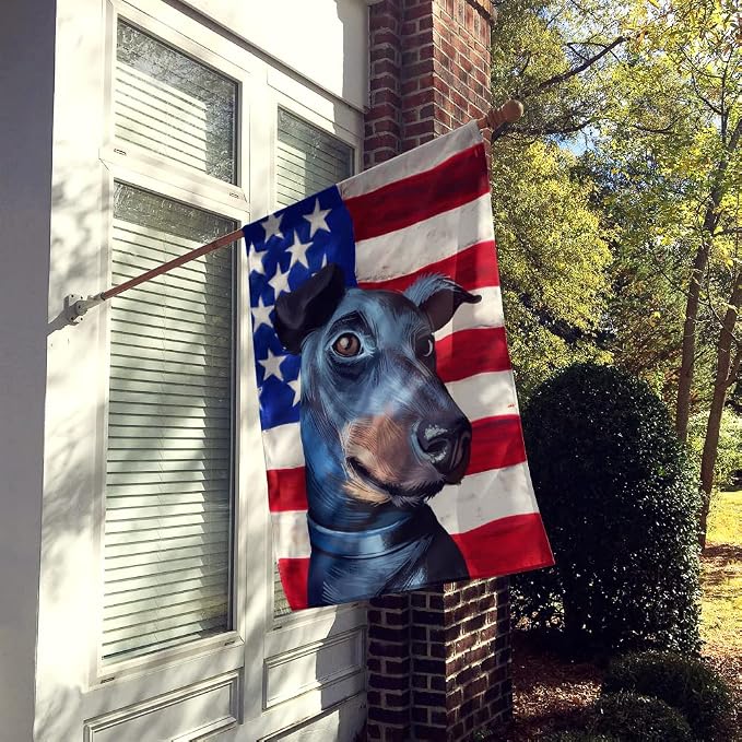 Caroline's Treasures CK6613CHF Manchester Terrier American Flag House Flag Large Porch Sleeve Pole Decorative Outside Yard Banner Artwork Wall Hanging, Polyester, House Size, Multicolor