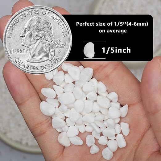 10lbs Natural Gravel Pebbles for Succulents and Cacti, 1/5 Inch Decorative River Stones – Perfect for Vases, Aquariums, Terrariums, and Outdoor Gardening, Mixed Colors (White, 10 Pounds)