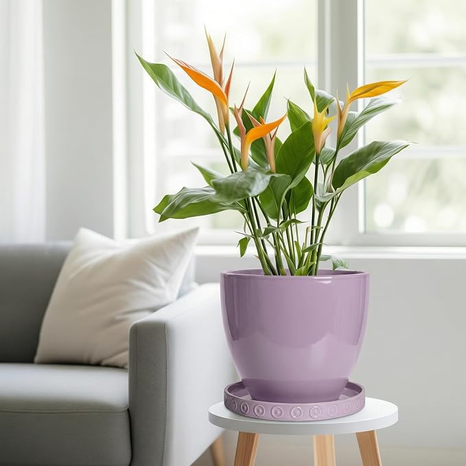 Eightpot Plant Plates to Catch Water, 9.3 Inch Plant Pot Saucers for Indoor Outdoors, Round Plants Drip Tray, Modern Ceramic Plant Saucer, Decorative Plants Dishes to Catch Water, Garden Gift, Purple