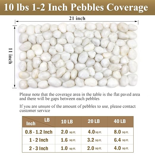 FANTIAN 10 lbs White River Rocks, 1-2 Inch Polished Pebbles for Indoor Plants, Decorative White Stones for Plants, Vase, Aquarium, Fish Tank, Landscaping and Garden