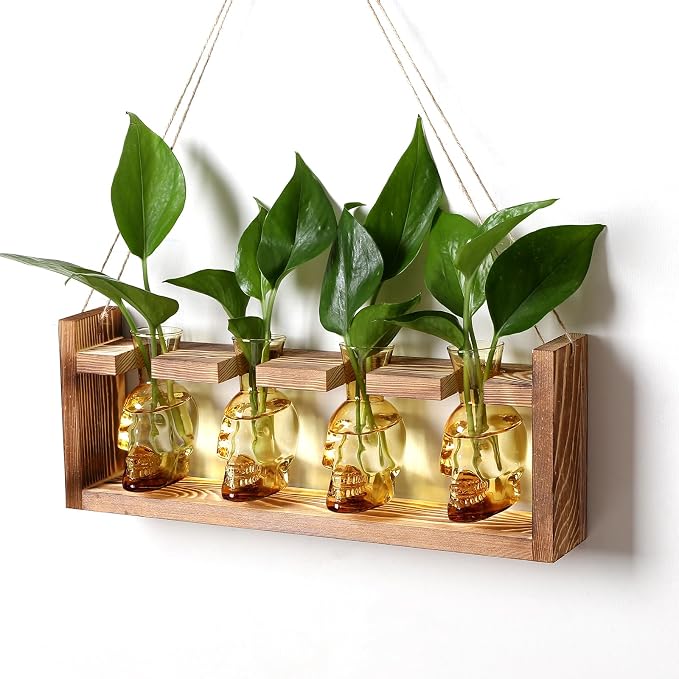 Plant Propagation Stations Halloween Skull Plant Terrarium Kit | Glass Vases Gift for Father Air Planter Home Office Decor
