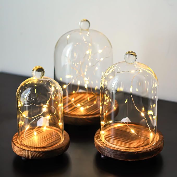 Set of 3 Decorative Glass Cloche Bell Jars with Wooden Bases, Assorted Sizes for Table Centerpieces, Seasonal Decorations and Home Accents