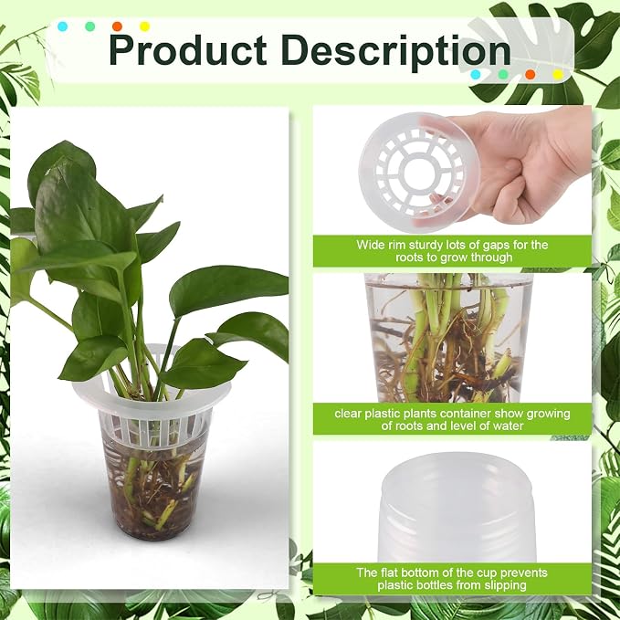 50 Pack Plastic Nursery Pots for Plants Terrarium Plant Propagation Station Tabletop Planting Vase with Hydroponic Baskets 4.5 In Clear Hydroponic Seed Pots for Indoor Plants Home Office Desktop Decor
