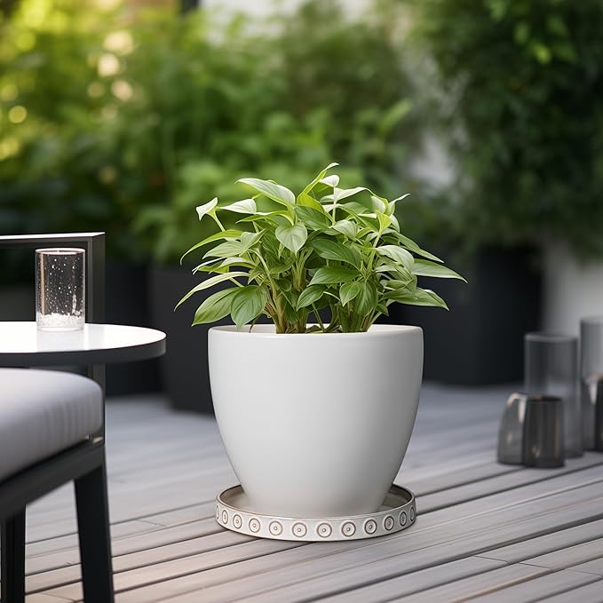 Eightpot Plant Saucer for Indoors - Ceramic Plant Saucer for Outdoors 11.4 Inch Plant Water Catcher Tray Plant Pot Saucer Plant Drip Tray Drainage Large Plant Plates to Catch Water, Cream White