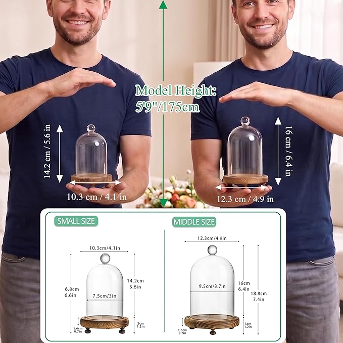 ZEERSHEE Cloche Glass Dome with Wooden Base, Set of 2 Display Bell Jars | Two Sizes Included, Clear Glass Display, Stable Wooden Base for Flowers, Figurines, Candles and Keepsakes