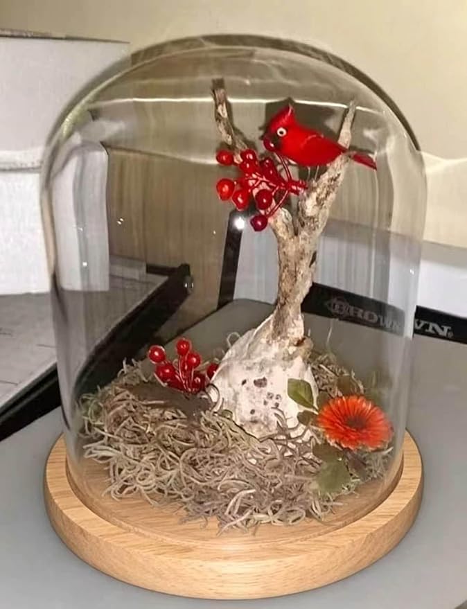 Glass Cloche Bell Jar Display Dome, Natural Wood Color, 6"x7" | Wooden Base, 1 Pack