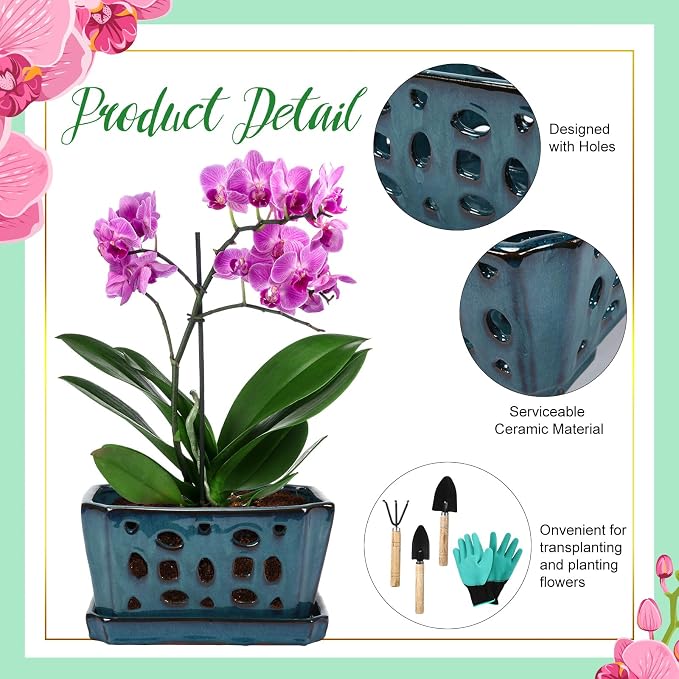 Teenyyou 1 Set Orchid Pot with Holes 9.5 Inch Ceramic Orchid Pot with Saucers for Repotting Amaryllis Flower Planter Include Gardening Shovel Set and Gloves for Home Decor(Blue)