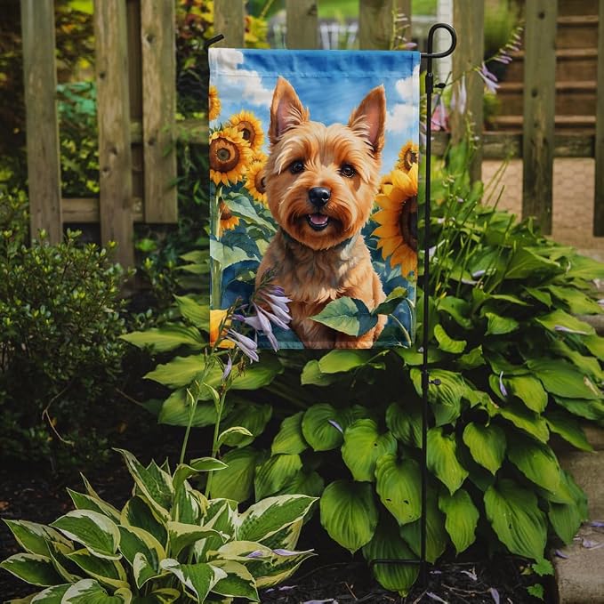 Caroline's Treasures DAC6127GF Norwich Terrier in Sunflowers Garden Flag Mailbox Flag Decorative Yard Flag Banner Outside Patio Artwork Yard Flower Beds, Garden Size, Multicolor