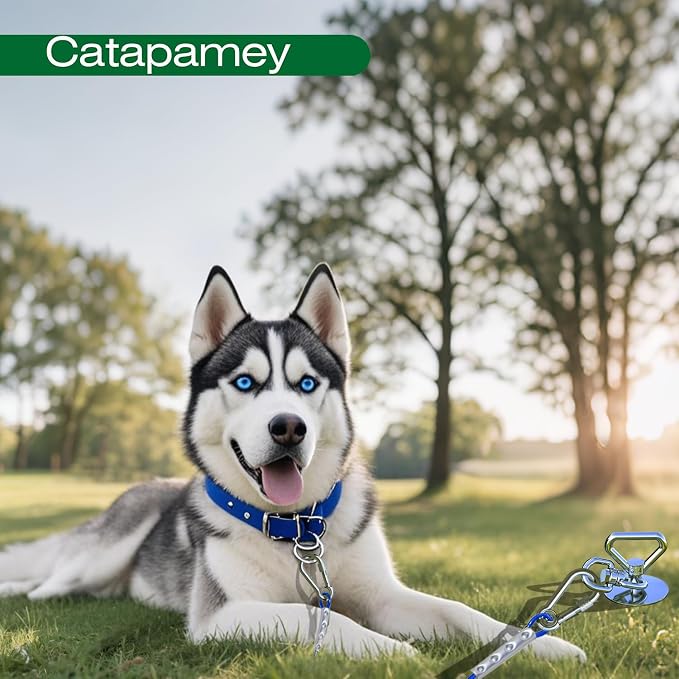 Catapamey Dog Tie Out Stake,360° Swivel Dog Run Stake - 304 Stainless Steel Stake,Runner for Yard,Use Any Tie Out Cable or Yard Leash-Up to 200 lbs-for Outdoor Camping