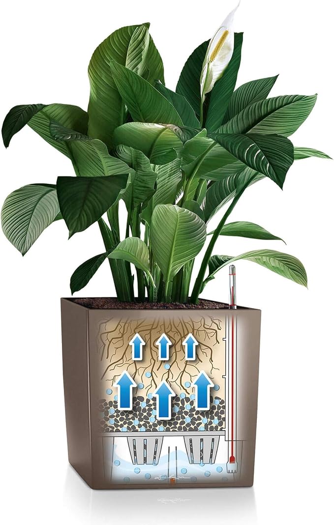 Lechuza Cube 50 Premium Black High Gloss, Self-Watering Square Planter, H19.3 L19.3 W19.3 in