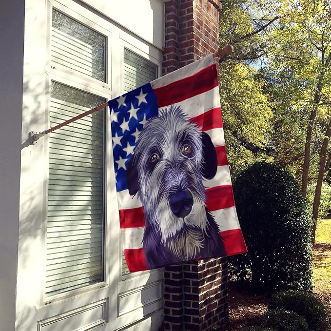 Caroline's Treasures CK6573CHF Irish Wolfhound American Flag House Flag Large Porch Sleeve Pole Decorative Outside Yard Banner Artwork Wall Hanging, Polyester, House Size, Multicolor