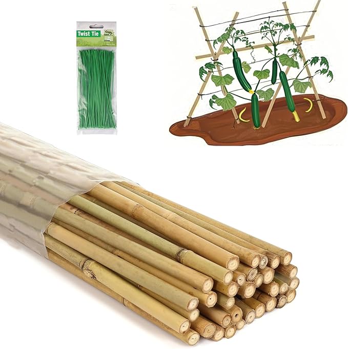 5 Ft Bamboo Stakes with 100 Twist Ties Natural Bamboo Garden Stakes for Tomatoes Cucumber Grapes Pole Beans Trees Potted Dahlia Flowers and Climbing Plants - Pack of 20 (58in, Approx 5FT)