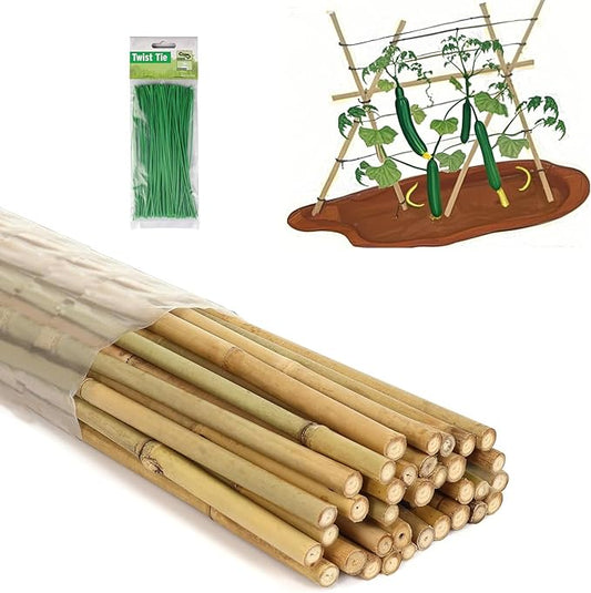 5 Ft Bamboo Stakes with 100 Twist Ties Natural Bamboo Garden Stakes for Tomatoes Cucumber Grapes Pole Beans Trees Potted Dahlia Flowers and Climbing Plants - Pack of 20 (58in, Approx 5FT)