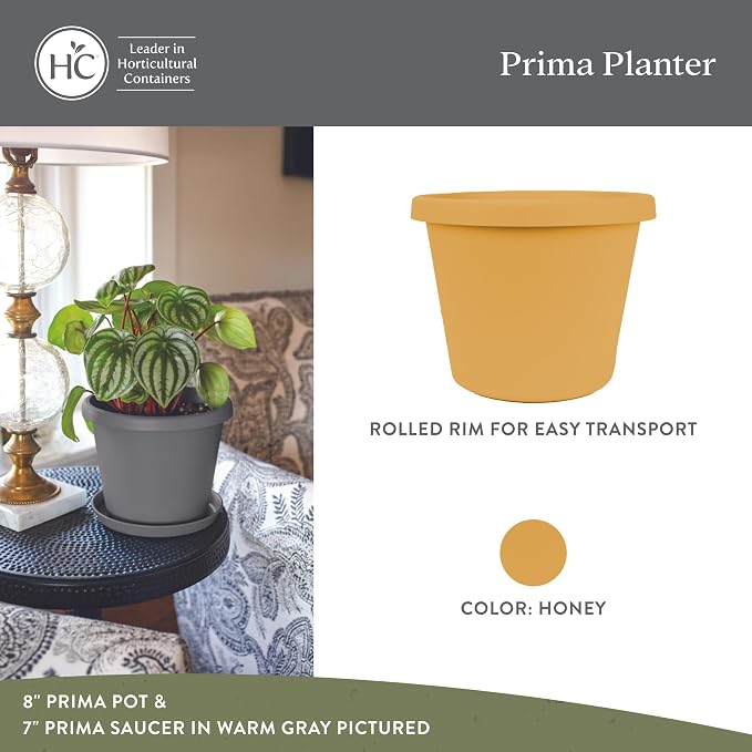 The HC Companies Prima Round Plastic Plant Pot w/Rolled Rim - Lightweight & UV Resistant Flower Pot for Herbs & More - Outdoor & Indoor Plant Pots w/Drainage (6 inch, Honey, Pack of 1)