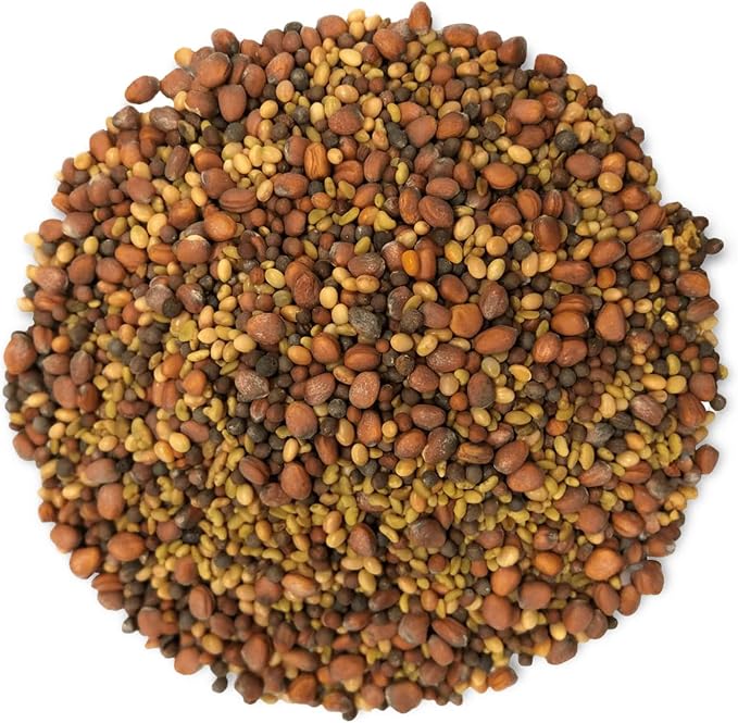 Food to Live Organic Salad Mix of Sprouting Seeds, 10 Pounds — Non-GMO Broccoli, Radish, Clover, Alfalfa. Rich Germination Rate, Non-Irradiated, Kosher, Vegan Superfood, Bulk, Rich in Sulforaphane