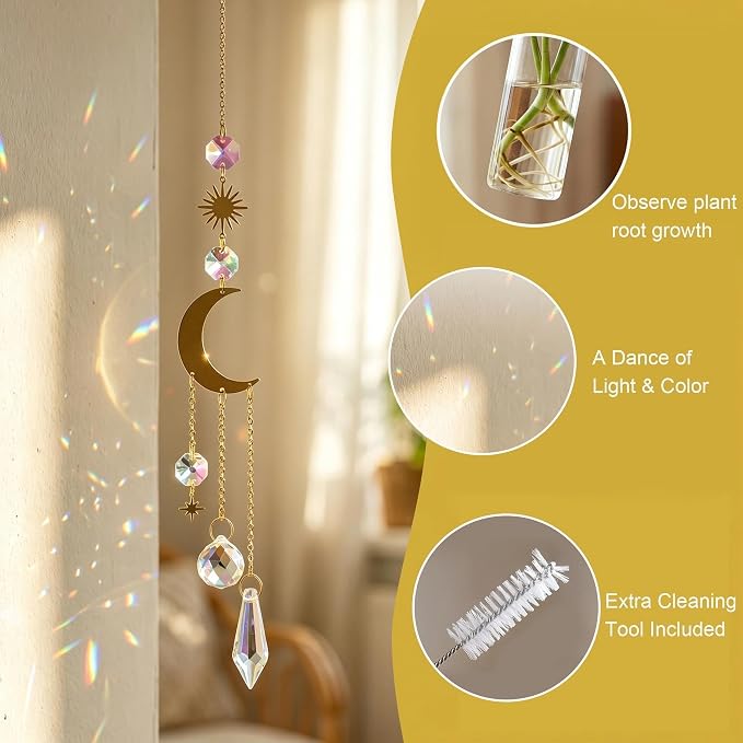 HDCRYSTALGIFTS 6Pcs Crystal Suncatchers with Propagation Stations,Glass Wall Planters for Indoor Plants Hydroponics - Propagation Tubes Jars with Sun Catchers Metal Chain for Home Whimsical Decor