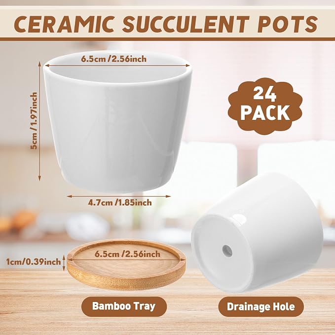 Hsei 24 Pack 2.5 Inch Mini Succulent Plant Pots Small Ceramic Flower Pot with Bamboo Tray Garden Cactus Herb Container Home Office Decoration for Birthday Graduation Wedding Favor Gifts (White)