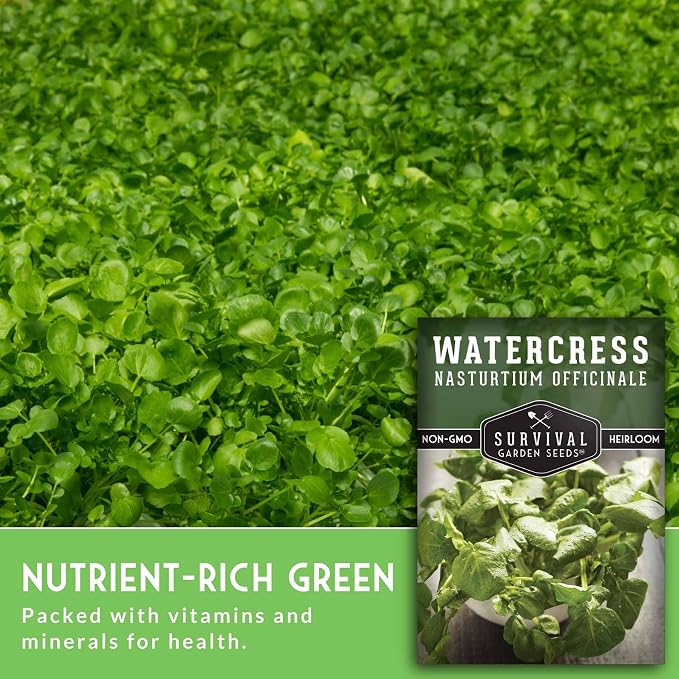 Watercress Seeds for Planting - Heirloom Aquatic Herb Greens - Non-GMO Nasturtium Officinale for Hydroponic Growing - Survival Garden Seeds (3 Packs)