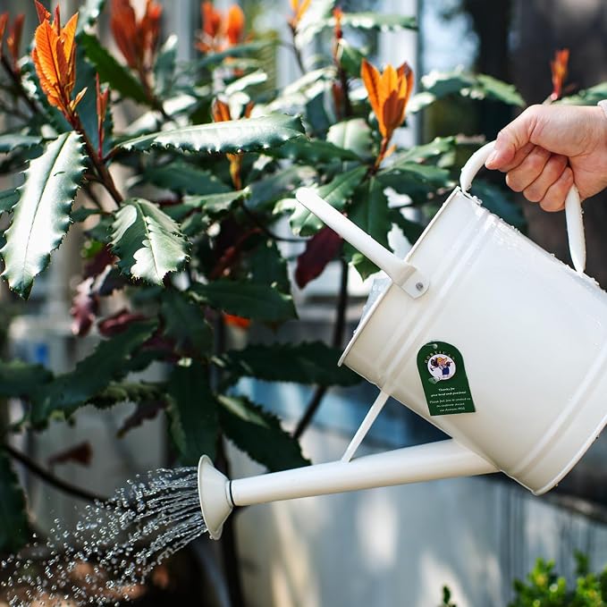 1 Gallon Matte Cream Metal Watering Can, Removable Spout | Cream White Galvanized Plant Water Can for Indoor and Outdoor Use