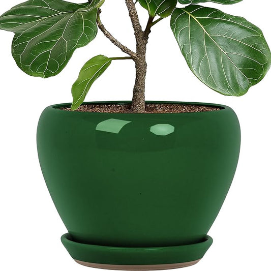 Deep Dream 10 Inch Plant Pot- Ceramic Planter Pot Round Plant Pots for Indoor Plants Outdoor Large Flower Pot with Drainage Holes & Trays, Green