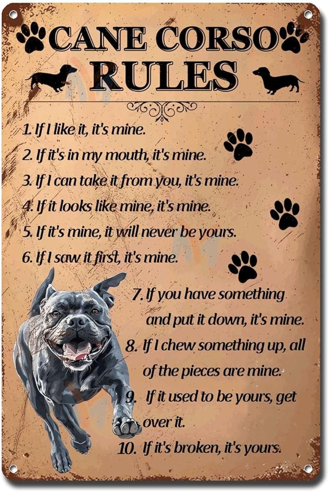 Metal Sign Tin Sign Vintage Wall Art Cano Corso Rules Funny Garden Signs for Club 6×8 Inches