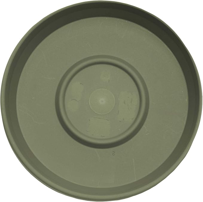Bloem 6" Terra Round Plant Saucer, Lightweight UV-Resistant Resin Outdoor & Indoor Flower Pot Tray - Traditional Design and Durable for Garden and Home Décor - Fits 6-inch Planter Pots, Living Green