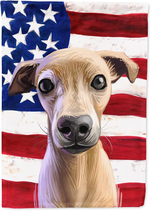 Caroline's Treasures CK6576CHF Italian Greyhound American Flag House Flag Large Porch Sleeve Pole Decorative Outside Yard Banner Artwork Wall Hanging, Polyester, House Size, Multicolor
