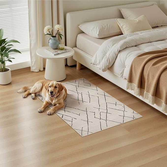 kakania Washable 2x3 Area Rug for Entryway: Boho Geometry Home Decor Rug | Soft Stain Resistant, Low-Pile, Non-Slip, Pet & Kid Friendly, Thin Carpet for Hallway/Kitchen/Bathroom - Beige