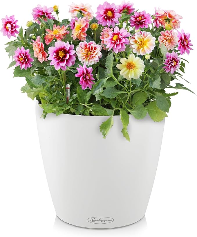 LECHUZA Classico Color 18 Garden Small Flower Plant Pot Indoor Outdoor Table Plastic Planter with Drainage Hole D19 H17 cm White