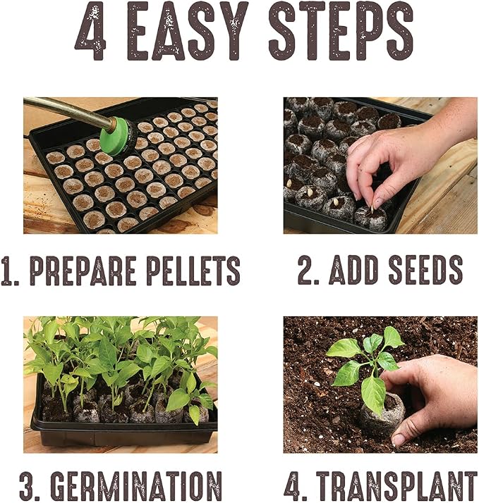 Jiffy Peat Soil Pellets Seed Starter Plugs, 36 mm, 200 Count | For Indoor Planting, Seedlings