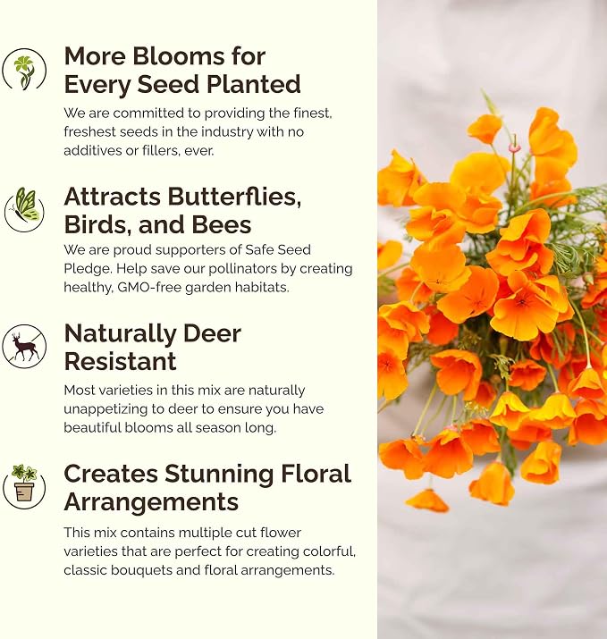 Eden Brothers Alaska Wildflower Mixed Seeds for Planting, 1 lb, 480,000+ Seeds with Yarrow, Foxglove, Cornflower | Attracts Pollinators, Plant in Spring or Fall, Zones