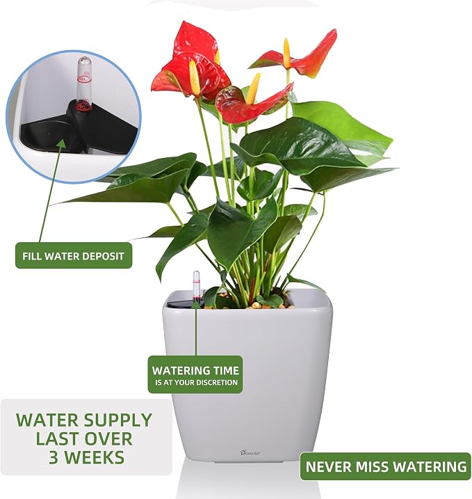 Dexceder 13x12 Self Watering Planter with Wheels (White Matte) | Inner Mat Design, Thickened Large Floor Standing Flower Plant Pot with Water Level Indicator Indoor Outdoor