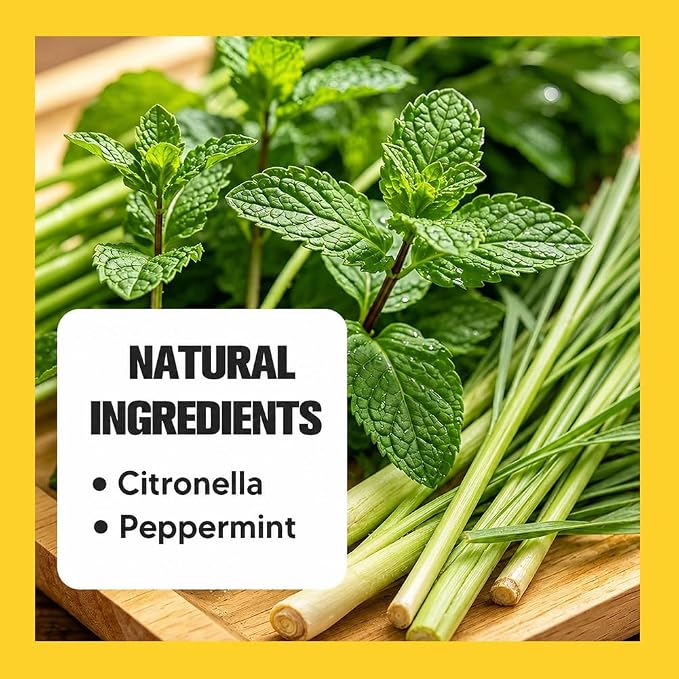 Mosquito Repellent Outdoor Patio,Mosquito Deterrent for Yard,Mosquito Repellent Indoor,Mosquito Repellant for Room,Mosquito Deterrent for Patio,Plant-Based Ingredients-12P