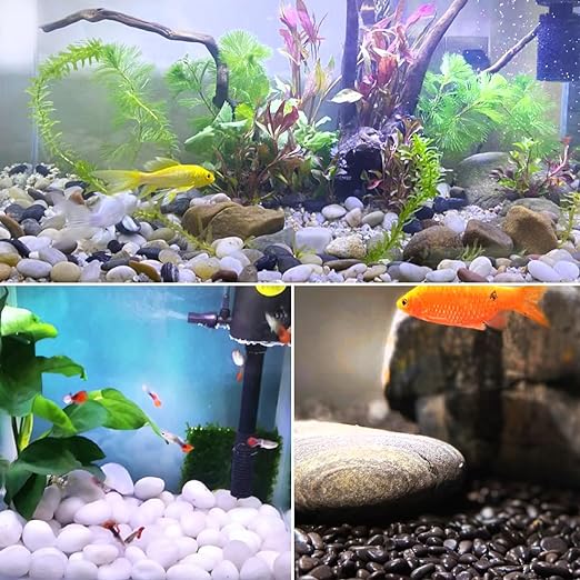 YISZM 40lbs Large River Rocks Decorative Pebbles,2-3 Inch Mixed Color Pebbles for Indoor Plants,High Polished Stones for Garden Landscaping Outdoor Vase Filler Fish Tank Aquariums and Indoor DIY