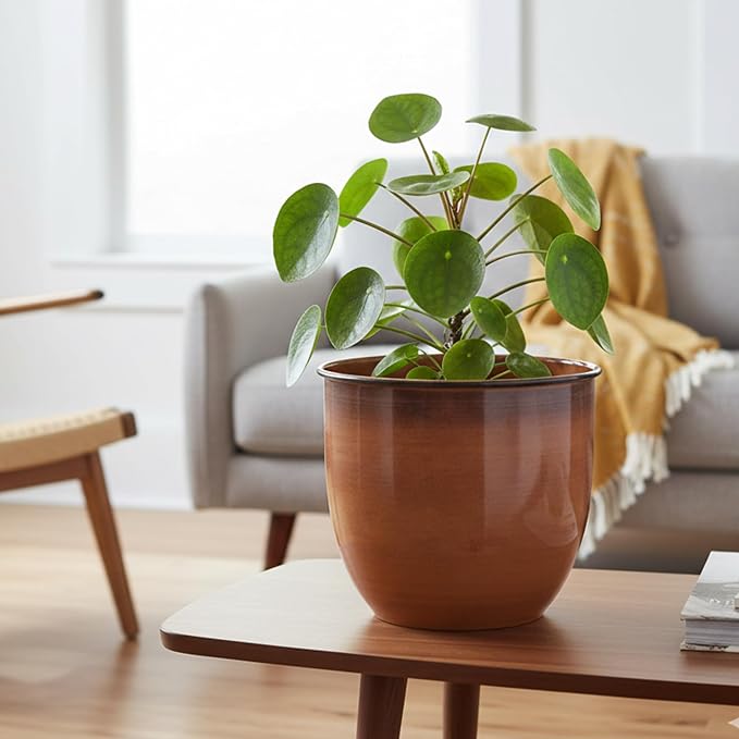 Bloem Canyon 10" Indoor Metal Cachepot - Glossy Decorative Planter with Powder-Coated Finish, Removable Drain Plug, Terra Cotta