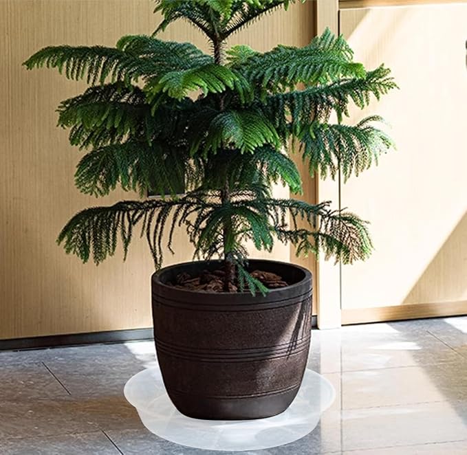 VUWEZ 6 Pack of Plant Saucer 8 Inch, 8 inch Plant Saucer Round, Plastic Flower Plant Trays for Pots, Plant Saucers for Indoors 8", Plant Pot Saucers, Planter Tray for Planter 6-8" (8", Clear)