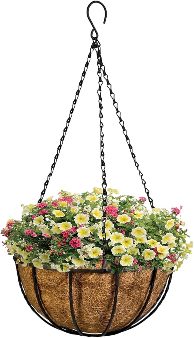 Kingbuy 12" Metal Hanging Basket for Herbs & Flowers – 6" Depth Rust-Resistant Wire with Coconut Liner & Adjustable Chains for Kitchen Window, Balcony & Garden - 1 Pack