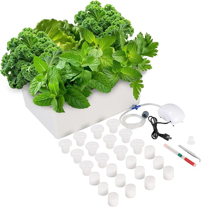 Hydroponics Growing System Kit with Air Pump, Bubble Stone | 12-Hole Indoor Hydroponic System Grow Box, Indoor Gardening System & Hydroponic Kit Vegetable & Herb Garden Starter Kit