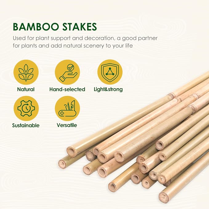 Cambaverd Bamboo Stakes 6 Feet, 50 Pack Garden Stakes, Natural Plant Stake for Tomatoes and Climbing Plant Support, Sturdy Bamboo Poles