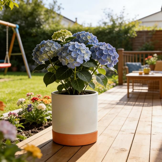 GreenShip 14 inch Self-Watering Cylinder Planter Pot with Saucer & Plugged Drainage Hole – Dual Use: Self-Watering or Traditional Pot – Jun Porcelain Clay & Recycle Resin, Durable & Unbreakable(W/T)