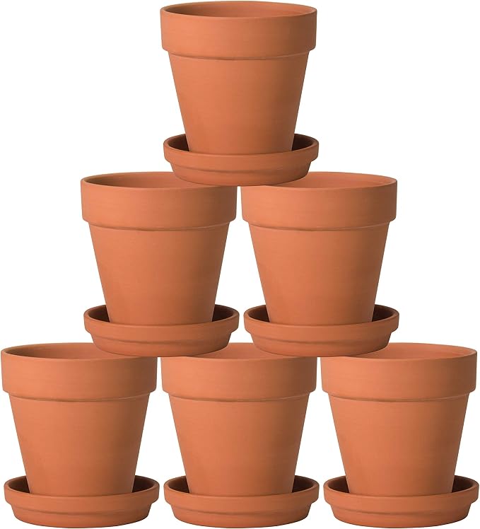 D'vine Dev Pack of 6 Terra Cotta Pots with Saucers, 5 Inch Clay Pots for Plants & Succulents, Terracotta