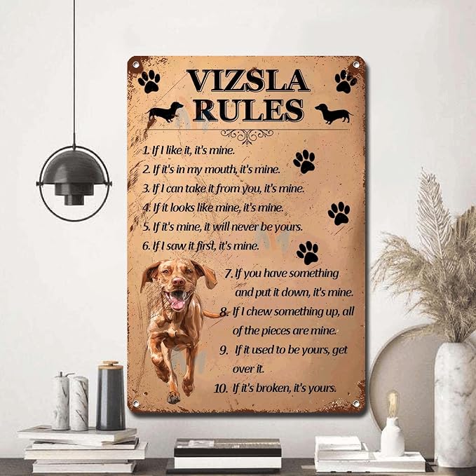 Metal Sign Tin Sign Vintage Wall Art Vizsla Rules Vintage Sign for Pub 8×12 Inches