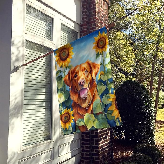 Caroline's Treasures DAC6128CHF Nova Scotia Duck Toller in Sunflowers House Flag Large Porch Sleeve Pole Decorative Outside Yard Banner Artwork Wall Hanging, Polyester, House Size, Multicolor