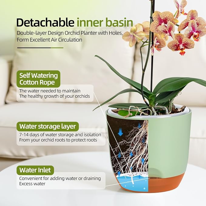 QCQHDU 7.2Inch Orchid Pots with Holes for Repotting, Double-Layer Plastic Self Watering Flower Pots for Indoor Plants with Drainage Holes, Clear Orchid Pot Match Decorative Orchid Container, 3 Packs
