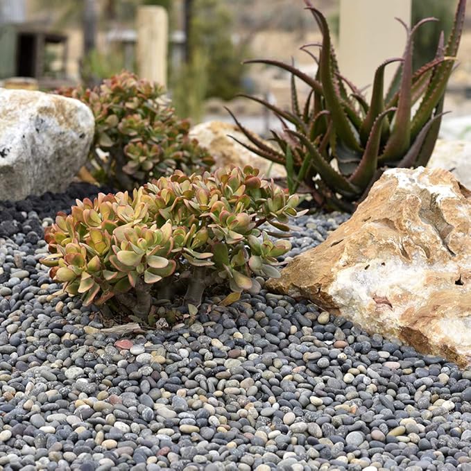 Mexican Beach Pebbles | 2000 Pounds of Smooth Unpolished Stones | Hand-Picked, Premium Pebbles for Garden and Landscape Design | Mixed, 2 Inch - 3 Inch